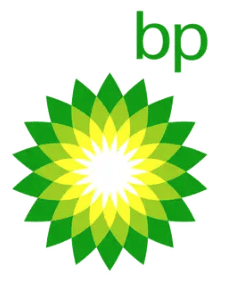 Green and yellow abstract sunburst flower logo with the lowercase letters bp in green at the top right.